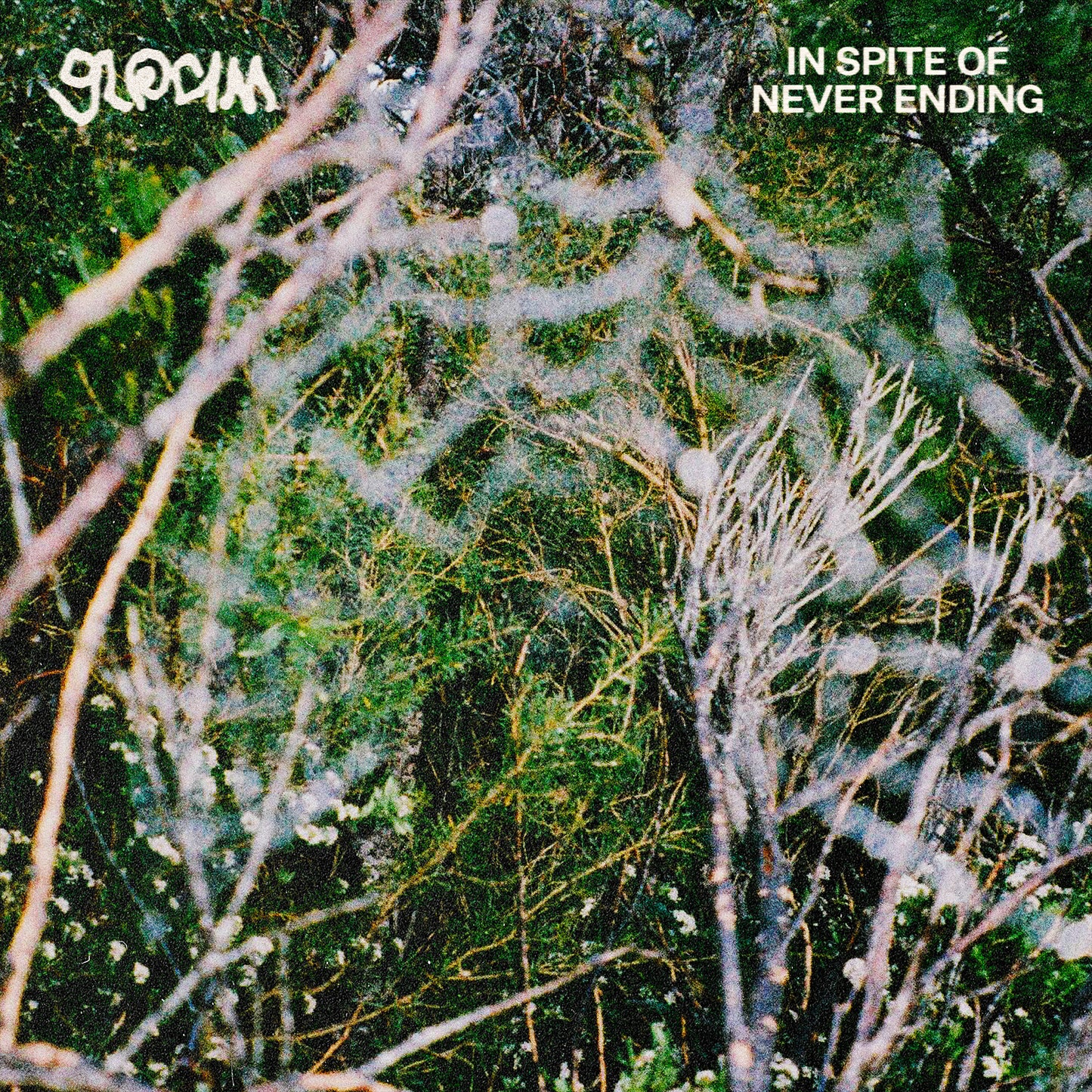 Gloam - In Spite Of Never Ending 7"