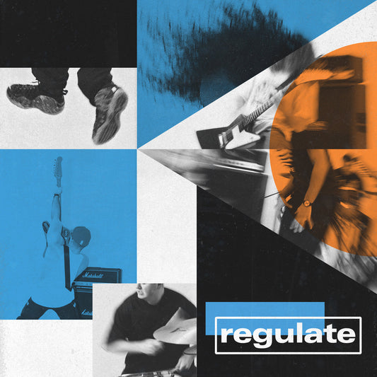 Regulate - Regulate LP